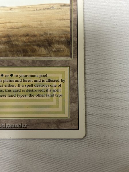 画像5: 《Savannah》[3ED] SP (5)