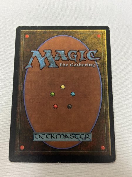 画像6: 《Savannah》[3ED] SP (6)