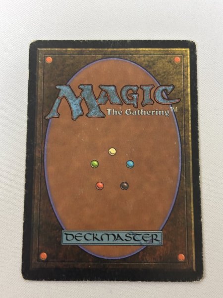 画像6: 《Plateau》[3ED]  MP (6)