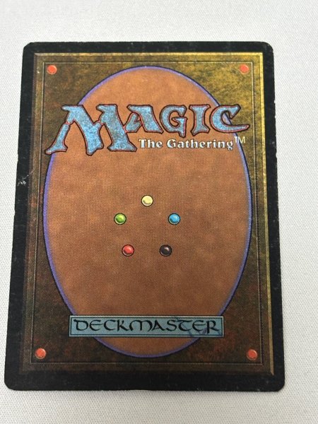 画像6: 《Badlands》[3ED] MP (6)