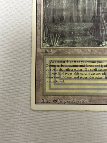 画像4: 《Bayou》[3ED] HP (4)