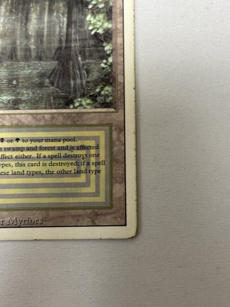 画像5: 《Bayou》[3ED] HP (5)