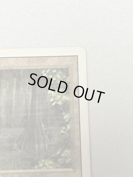 画像3: 《Bayou》[3ED] HP (3)