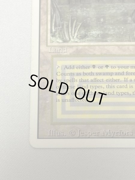 画像4: 《Bayou》[3ED] HP (4)