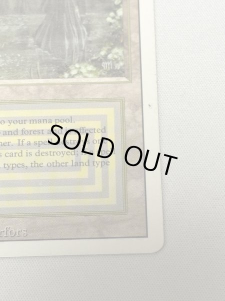 画像5: 《Bayou》[3ED] HP (5)