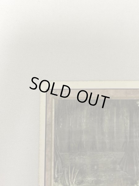 画像2: 《Bayou》[3ED] HP (2)