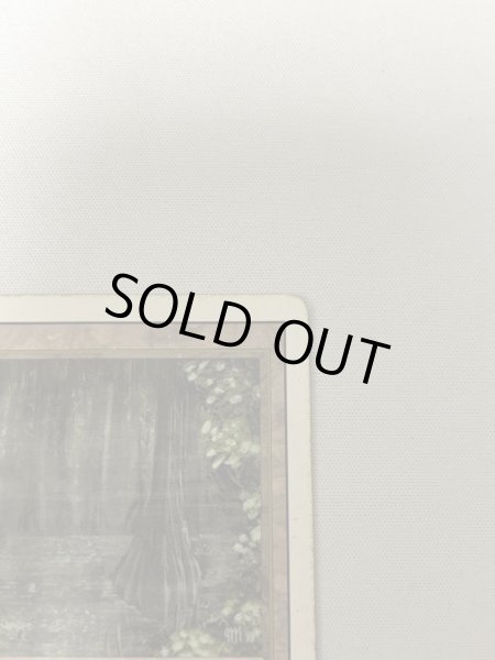 画像3: 《Bayou》[3ED] HP (3)