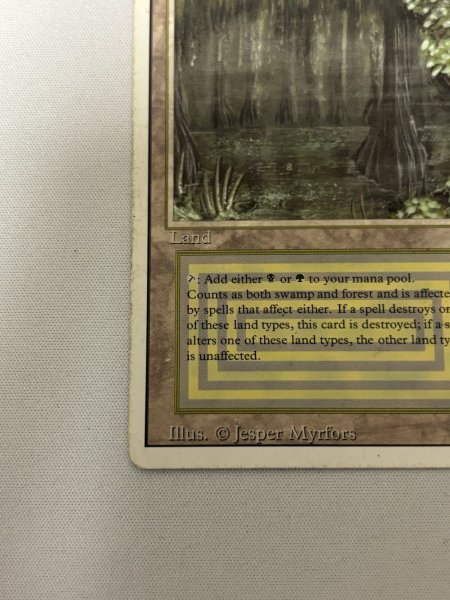 画像4: 《Bayou》[3ED] HP (4)