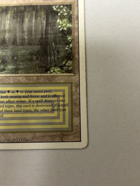 画像5: 《Bayou》[3ED] HP (5)