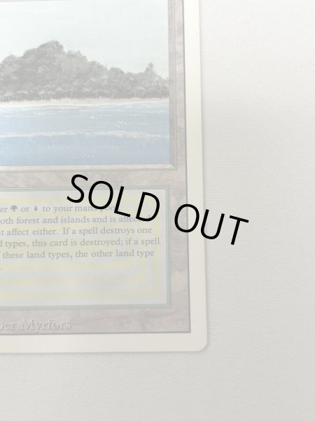 画像5: 《Tropical Island》[3ED] MP (5)