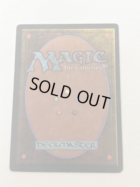 画像6: 《Tropical Island》[3ED] MP (6)