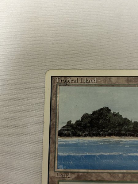 画像2: 《Tropical Island》[3ED] MP (2)