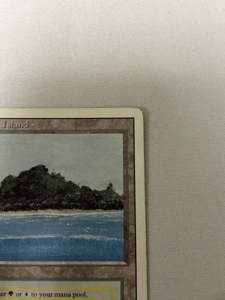 画像3: 《Tropical Island》[3ED] MP (3)