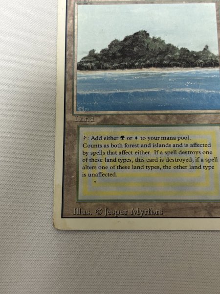 画像4: 《Tropical Island》[3ED] MP (4)