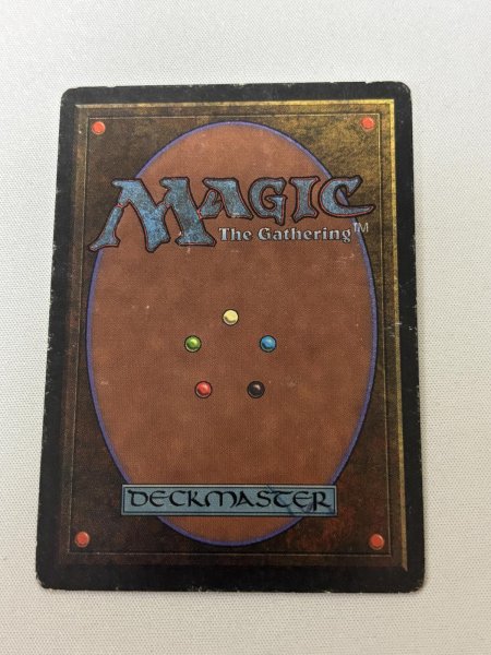 画像6: 《Tropical Island》[3ED] MP (6)