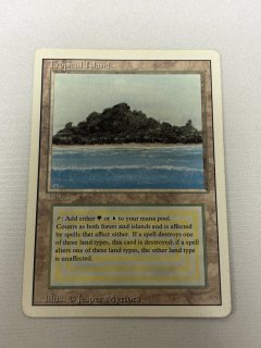 Tropical Island - MTG専門店 Initiative