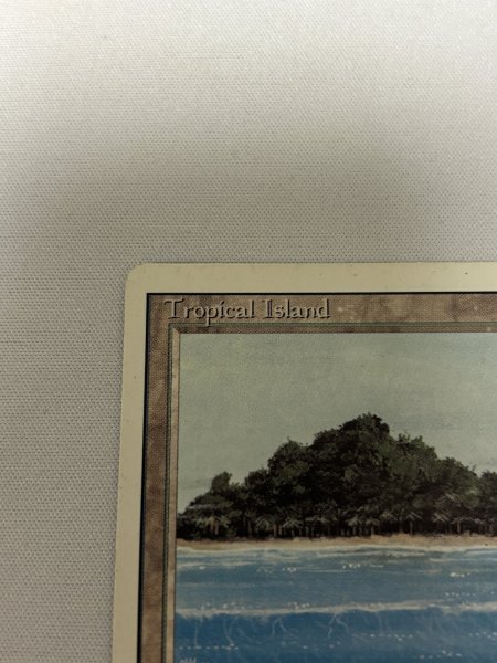 画像2: 《Tropical Island》[3ED] SP- (2)