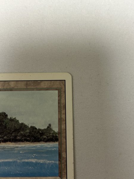 画像3: 《Tropical Island》[3ED] SP- (3)