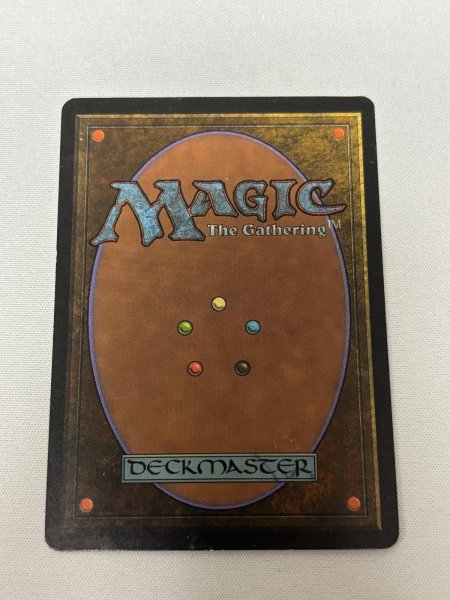 画像6: 《Tropical Island》[3ED] SP- (6)