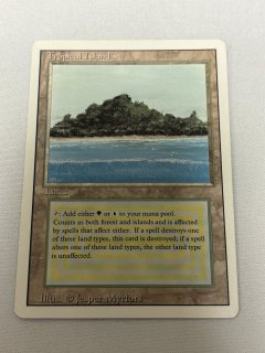デュアルランド/Dual Land - MTG専門店 Initiative