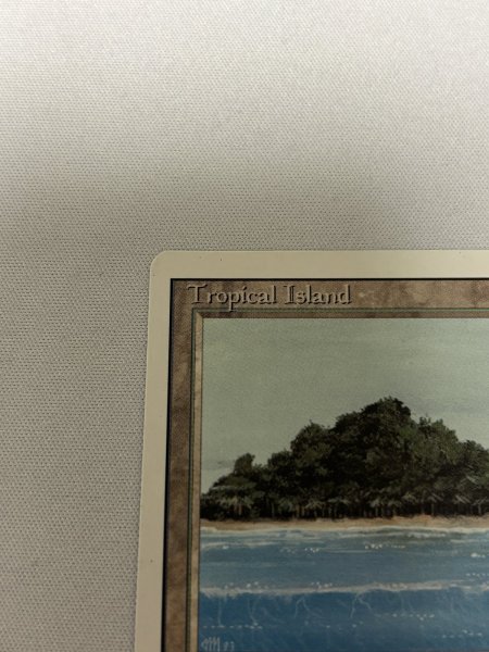 画像2: 《Tropical Island》[3ED] SP- (2)