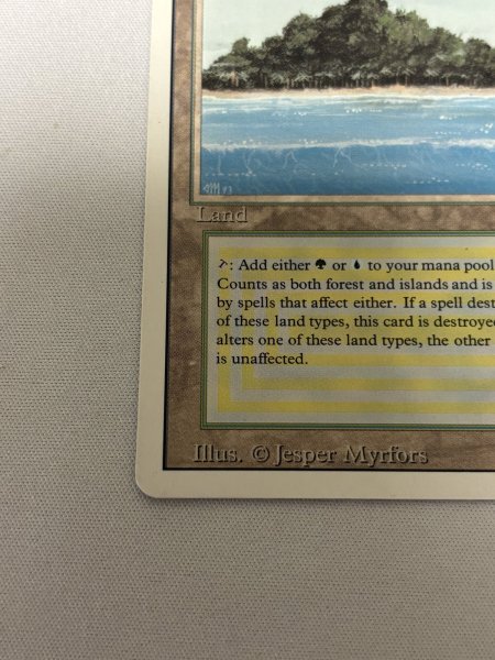 画像4: 《Tropical Island》[3ED] SP- (4)