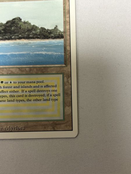 画像5: 《Tropical Island》[3ED] SP- (5)