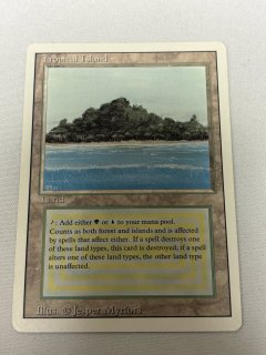 Tropical Island - MTG専門店 Initiative