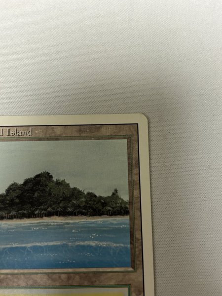 画像3: 《Tropical Island》[3ED] SP- (3)