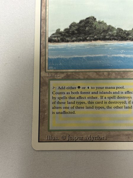 画像4: 《Tropical Island》[3ED] SP- (4)