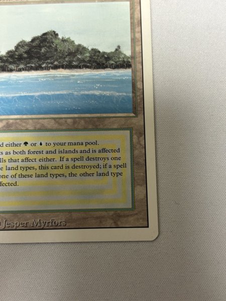 画像5: 《Tropical Island》[3ED] SP- (5)