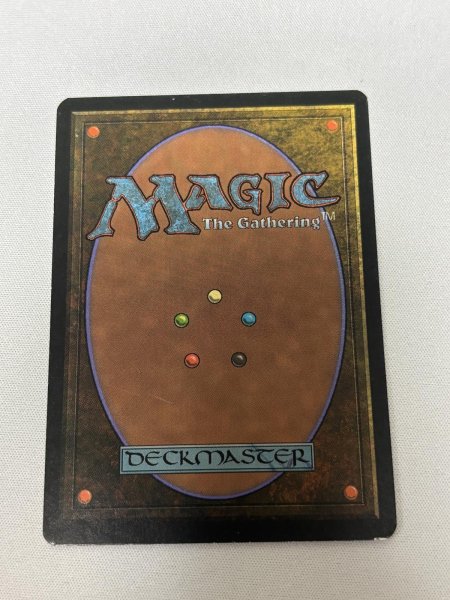 画像6: 《Tropical Island》[3ED] SP- (6)