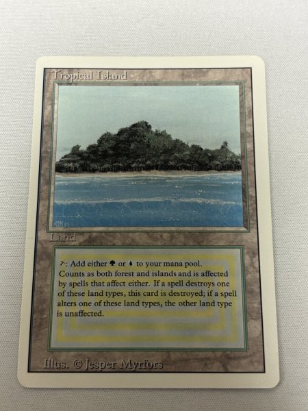 画像1: 《Tropical Island》[3ED] NM- (1)