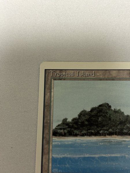 画像2: 《Tropical Island》[3ED] NM- (2)