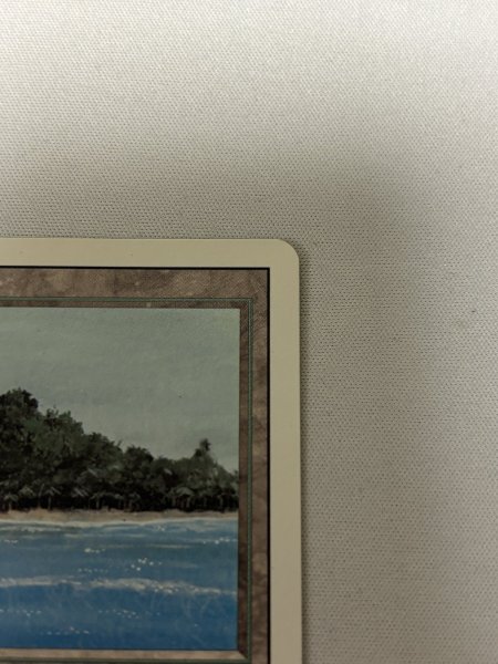 画像3: 《Tropical Island》[3ED] NM- (3)