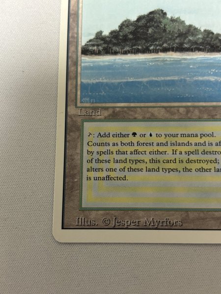 画像4: 《Tropical Island》[3ED] NM- (4)