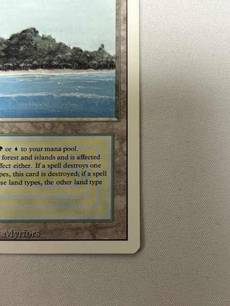 画像5: 《Tropical Island》[3ED] NM- (5)