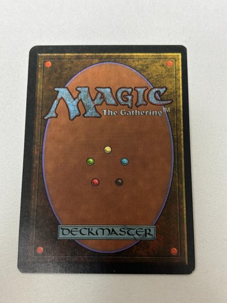 画像6: 《Tropical Island》[3ED] NM- (6)