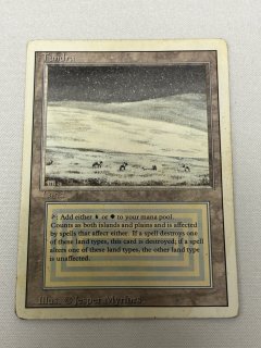 デュアルランド/Dual Land - MTG専門店 Initiative