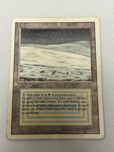 画像1: 《Tundra》[3ED] poor (1)