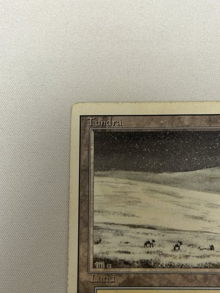 画像2: 《Tundra》[3ED] poor (2)