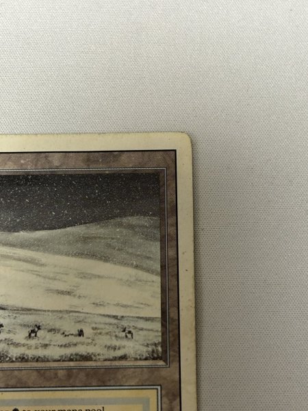 画像3: 《Tundra》[3ED] poor (3)