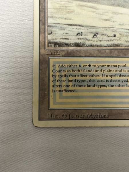 画像4: 《Tundra》[3ED] poor (4)