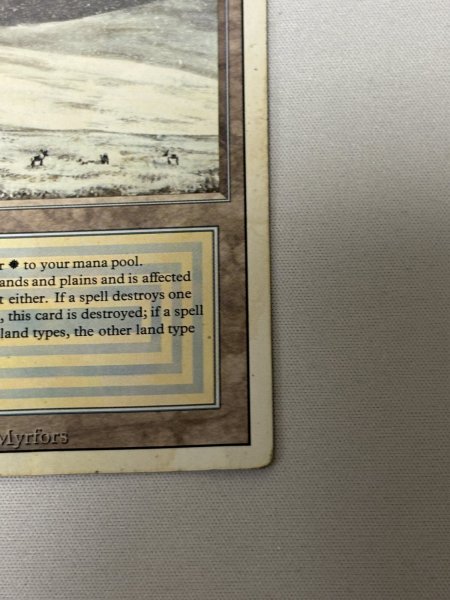 画像5: 《Tundra》[3ED] poor (5)