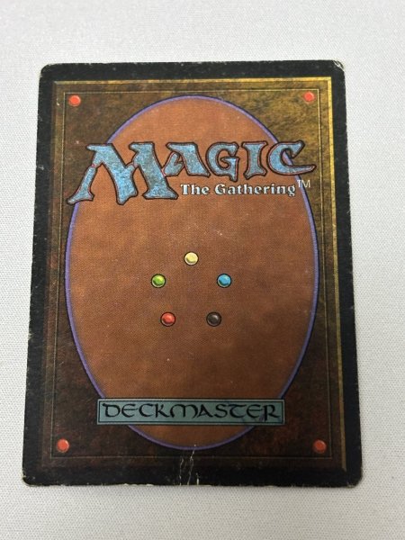 画像6: 《Tundra》[3ED] poor (6)