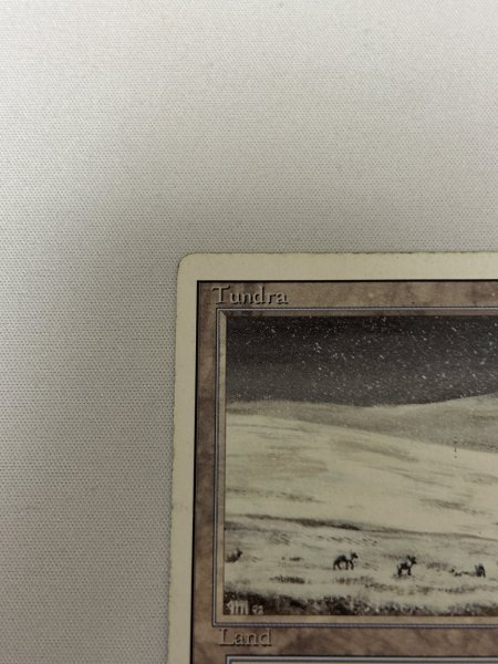 画像2: 《Tundra》[3ED] HP (2)