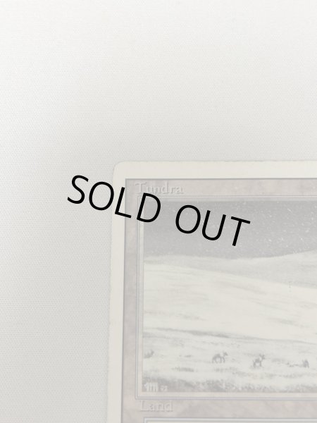 画像2: 《Tundra》[3ED] HP (2)