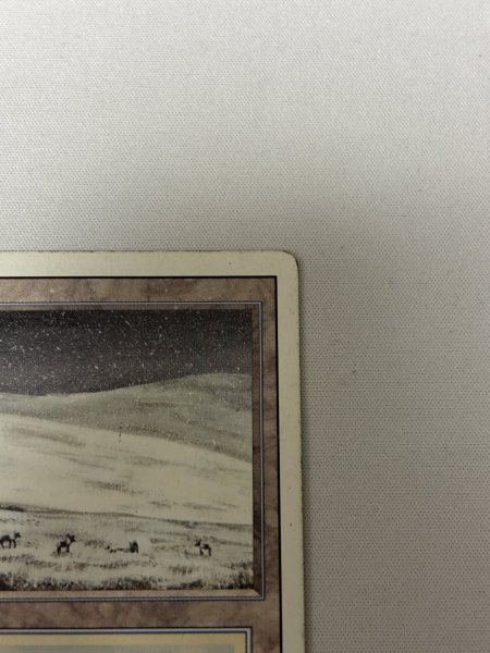 画像3: 《Tundra》[3ED] HP (3)