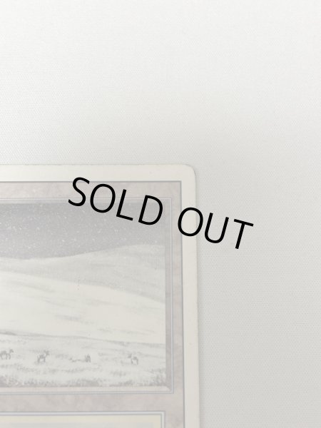 画像3: 《Tundra》[3ED] HP (3)