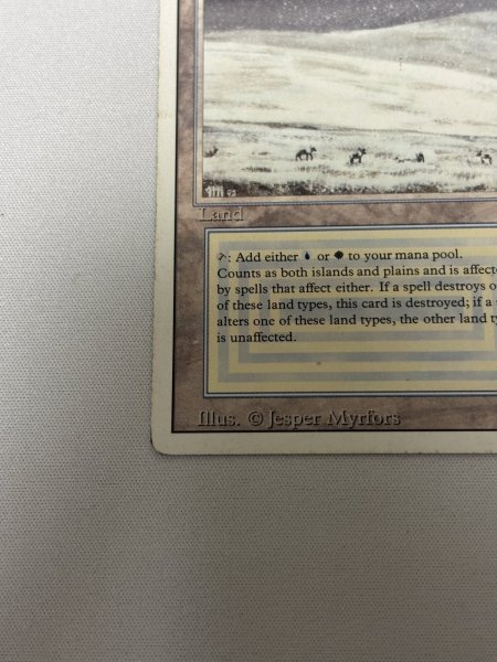 画像4: 《Tundra》[3ED] HP (4)